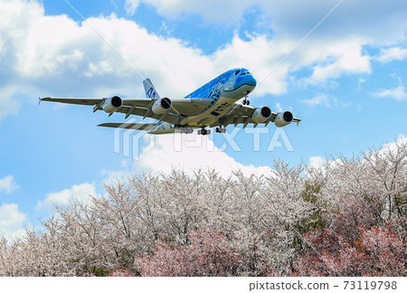 Landing at Narita Airport soon ・ A380 and Sakura Landing at Narita Airport soon ・ A380 and Sakura 73119798