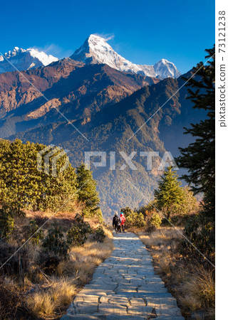 Walking trail to Poon hill view point at Nepal. 73121238