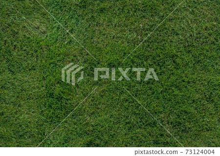 UK green grass UK green grass 73124004