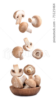 Falling mushrooms isolated on white backgrounds. 73125464