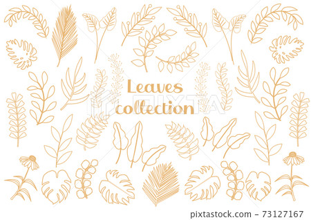 Modern golden tropical leaves Set, palm, monstera. Scandinavian minimalism in line style, sketches of plants, flowers for design. Vector illustration Modern golden tropical leaves Set, palm, monstera. Scandinavian minimalism in line style, sketches of plants, flowers for design. Vector illustration 73127167