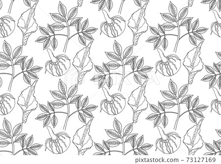 Amorphophallus konjac plant seamless pattern hand drawing outline line style. Konjak repeating texture, endless background. Vector illustration Amorphophallus konjac plant seamless pattern hand drawing outline line style. Konjak repeating texture, endless background. Vector illustration 73127169
