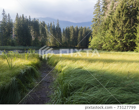 View of Vrbicke pleso, forest lake, tarn with reflection of forest trees in water surface, Demanovska dolina in Low Tatras mountains, Slovakia. Summer morning, golden light View of Vrbicke pleso, forest lake, tarn with reflection of forest trees in water surface, Demanovska dolina in Low Tatras mountains, Slovakia. Summer morning, golden light 73127799