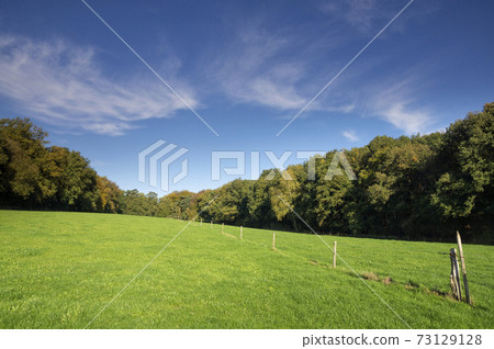 Hilly landscape near Nijmegen Hilly landscape near Nijmegen 73129128