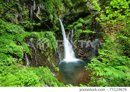 日光浦ami瀑布新鮮的綠色季節 日光浦ami瀑布新鮮的綠色季節 73129676
