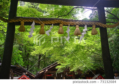 Kuroki Torii of Nonomiya Shrine-1 73132084