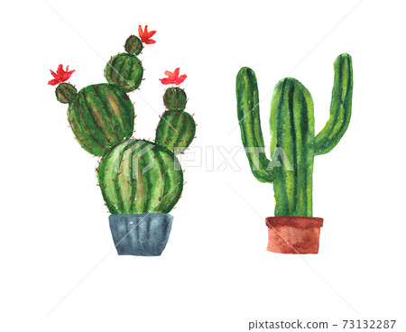 Set of cute watercolor green cactus in pots Set of cute watercolor green cactus in pots 73132287