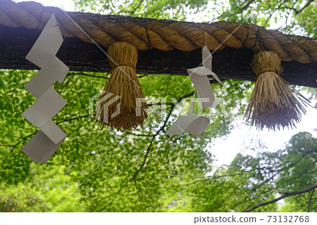 Nonomiya Shrine Kuroki Torii-3 Nonomiya Shrine Kuroki Torii-3 73132768