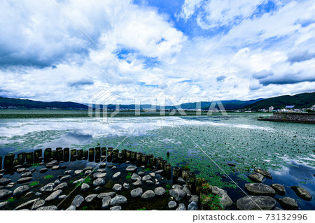 The blue sky of Lake Suwa and the floating aquatic plants 73132996
