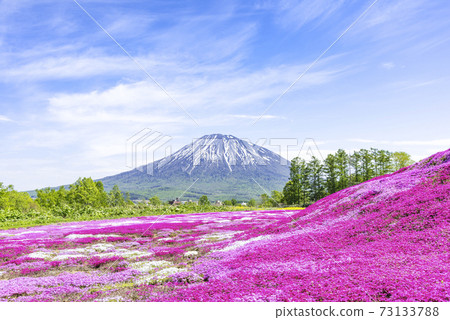 Yotei山和Shibazakura Kuchiyasu鎮 73133788