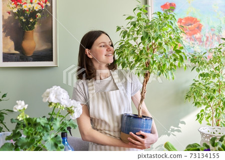 Gardening of apartment with house plants, teenage girl caring for potted plant Gardening of apartment with house plants, teenage girl caring for potted plant 73134155