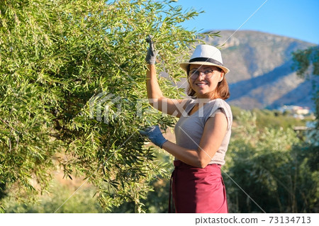 Adult woman holds in her hand branch with an olive tree 73134713