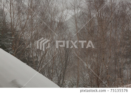 白雪萬座溫泉附近 白雪萬座溫泉附近 73135576