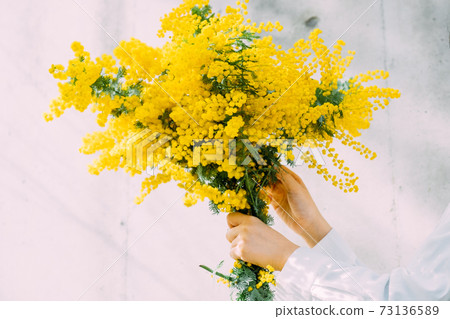 婦與一束含羞草 73136589