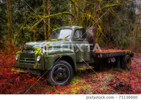 Old Vintage Abandoned Truck 73136600
