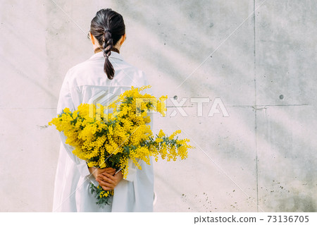 Woman holding a bouquet of mimosa 73136705