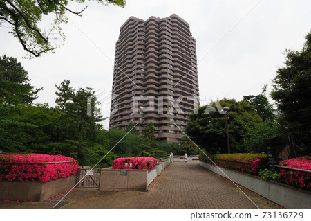 五花山花園新鮮綠色杜鵑花池 五花山花園新鮮綠色杜鵑花池 73136729