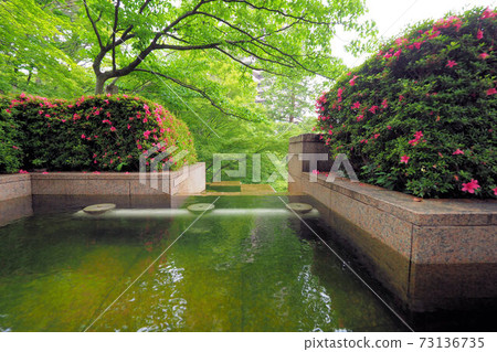 Gotenyama Garden Fresh Green Azalea Pond Fountain Gotenyama Garden Fresh Green Azalea Pond Fountain 73136735