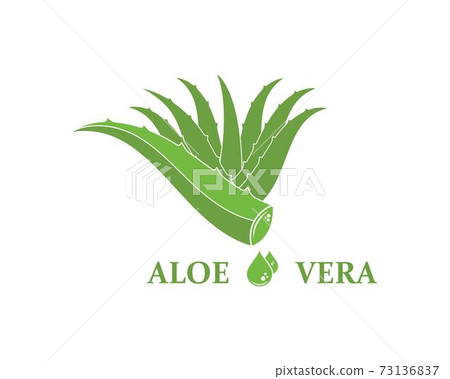 aloevera logo icon vector illustration design 73136837