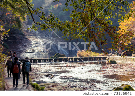 [Tourists enjoying the autumn leaves of Awamata Waterfall] 73136941