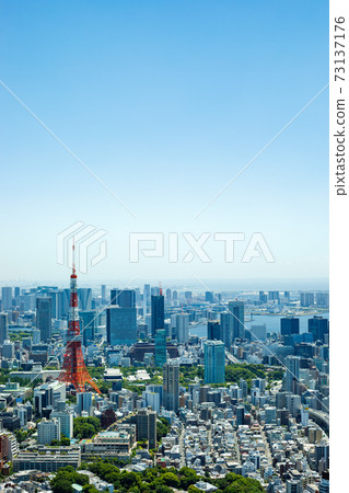 Tokyo cityscape 73137176