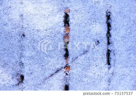 Sunbeams in the snow 73137537