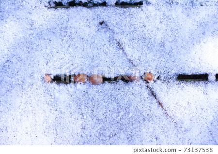 Sunbeams in the snow 73137538