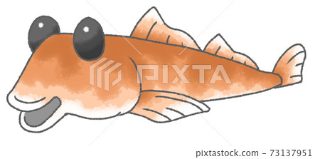 水彩風格的變形蝦虎魚 水彩風格的變形蝦虎魚 73137951