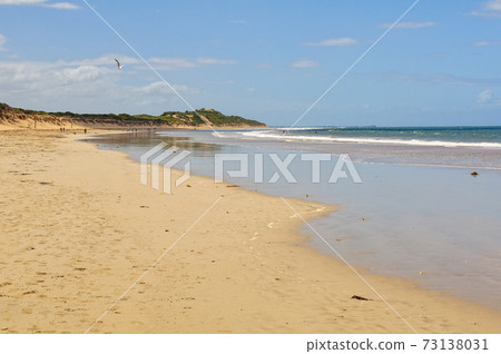 Whites Beach - Torquay Whites Beach - Torquay 73138031