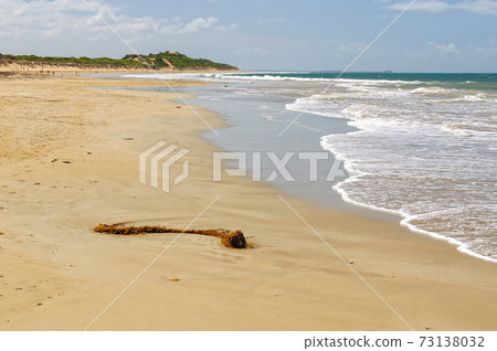 Whites Beach - Torquay Whites Beach - Torquay 73138032