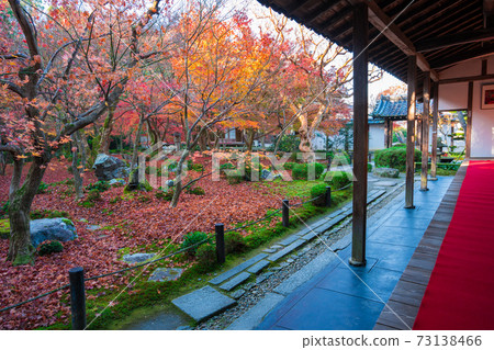 Enkoji Temple in late autumn in Kyoto 73138466