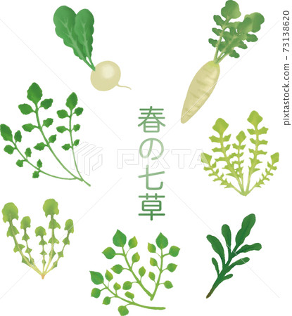 1月春天七種香草蔬菜水彩手繪插圖素材 插圖素材 圖庫
