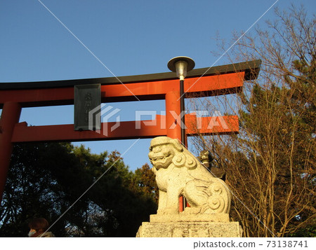 新年第二天在淺間神社的小牧犬和紅色鳥居 新年第二天在淺間神社的小牧犬和紅色鳥居 73138741