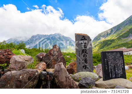 Tateyama Tamado的春天 73141720