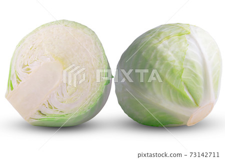 cabbage vegetable isolated on white background cabbage vegetable isolated on white background 73142711
