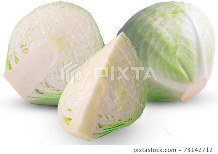 cabbage vegetable isolated on white background 73142712