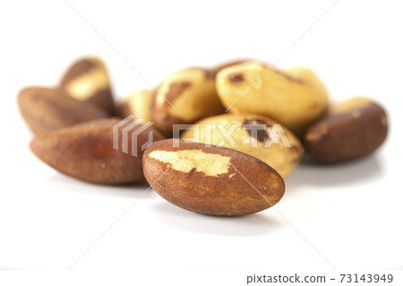 Brazil nut Bertholletia excelsa on a white background, isolated Brazil nut Bertholletia excelsa on a white background, isolated 73143949