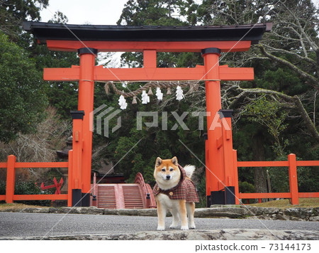 在Tanyu Tobisu神社 73144173
