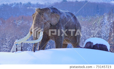 Lake Nojiri Naumann Elephant Going to the Snowfield 73145723