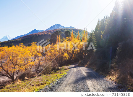 Autumn in New Zealand 73145838