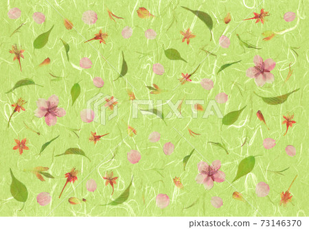 春天的形象壓花，綠色的和紙櫻花日本紙藝術 73146370