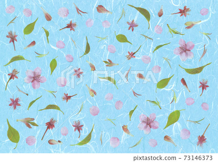 春天形象壓花，川津櫻花天藍色日本紙藝術 73146373