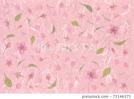 春天的形象壓花，川津櫻花的櫻桃色和紙 73146375