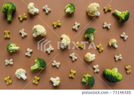pattern of vegetarian dog snack and vegetables on the beige background 73146388