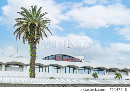 Miyazaki City, Miyazaki Prefecture Miyazaki Airport / Miyazaki Bougainvillea Airport Miyazaki City, Miyazaki Prefecture Miyazaki Airport / Miyazaki Bougainvillea Airport 73147348
