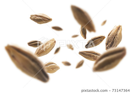 Barley malt grains levitate on a white background Barley malt grains levitate on a white background 73147364