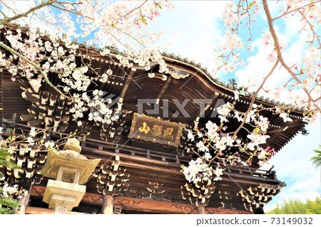 Kokawaji Spring scenery 73149032