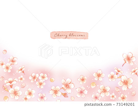 Watercolor cherry blossom frame illustration set Watercolor cherry blossom frame illustration set 73149201