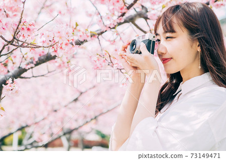 Young woman taking pictures of cherry blossoms 73149471
