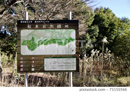 松木日向涼 73150566